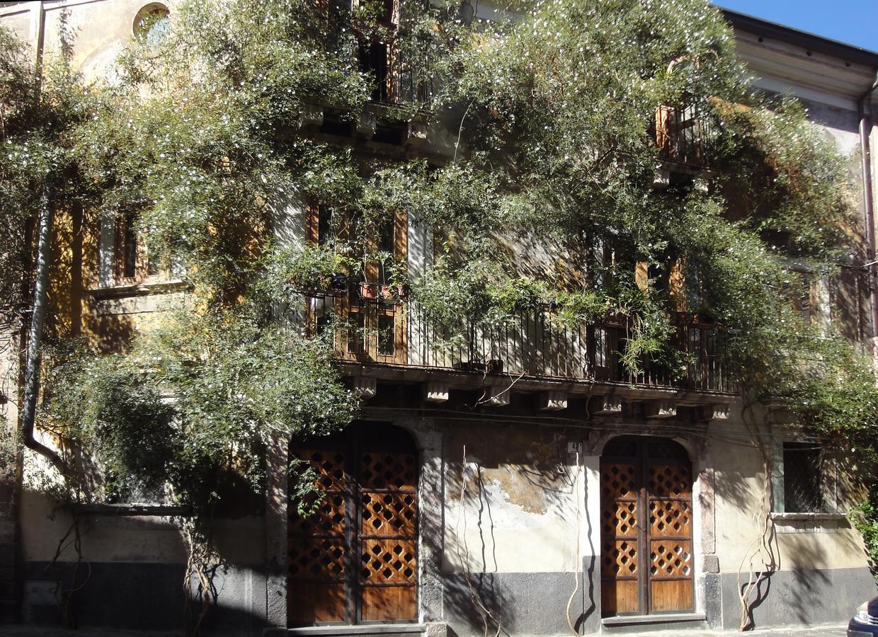 Palazzu Stidda Catania Lägenhet Exteriör bild